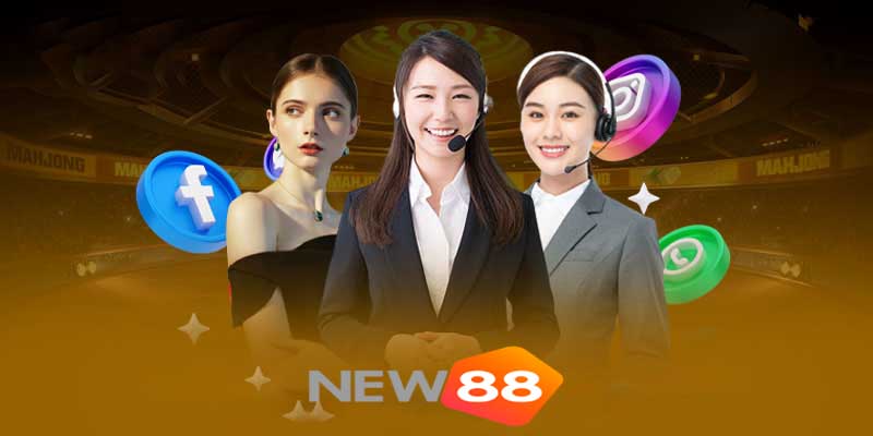 Quy trình liên hệ với New88